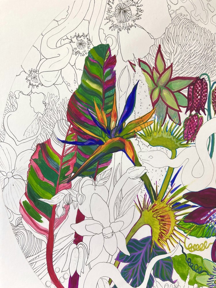 Serpent+Painting+botanical+illustration+Marcella+Wylie.jpg