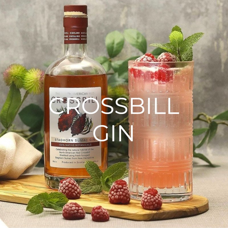 Crossbill Gin Branding by illustrator Marcella Wylie