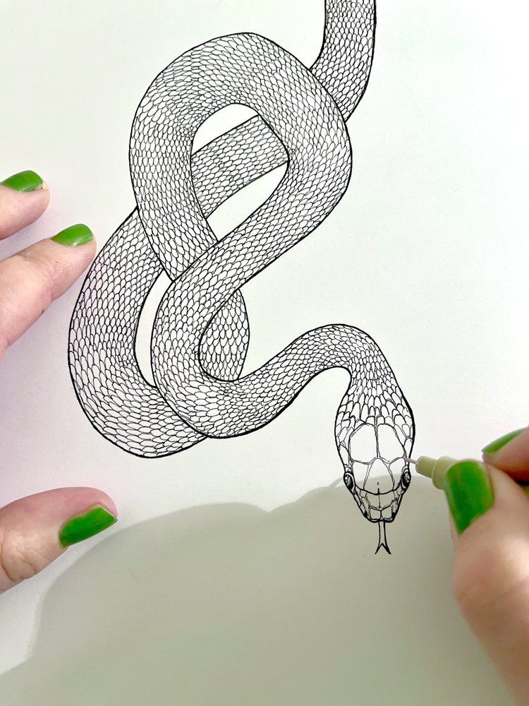 Serpent Black Pen Illustration by Marcella Wylie