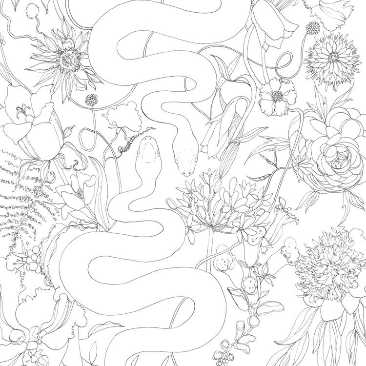 Serpent and Floral Black Pen Illustration by Marcella Wylie