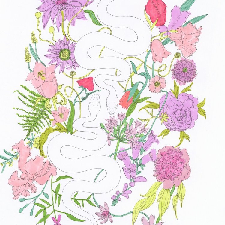 Serpent and Floral Watercolour Illustration by Marcella Wylie