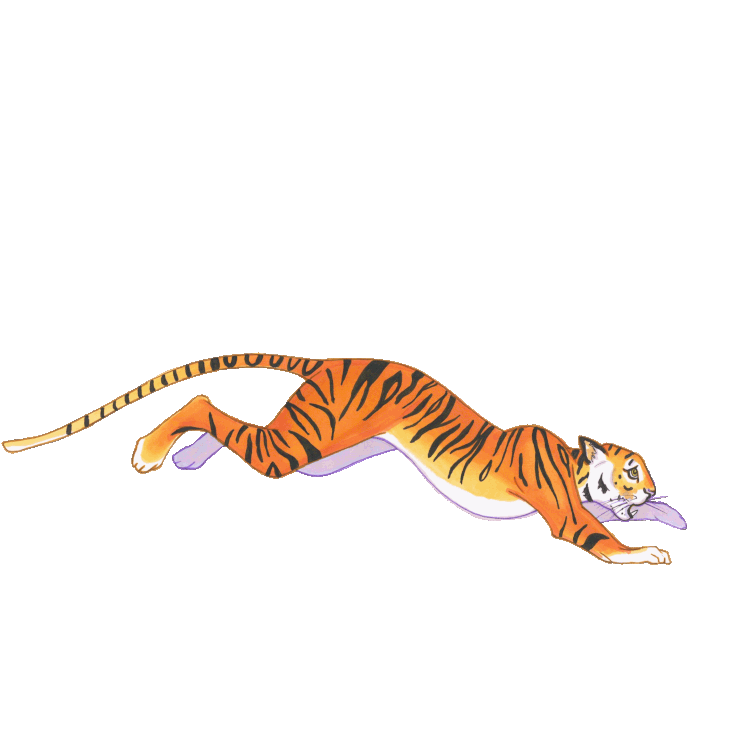 Hand Drawn Tiger Animation by Marcella Wylie