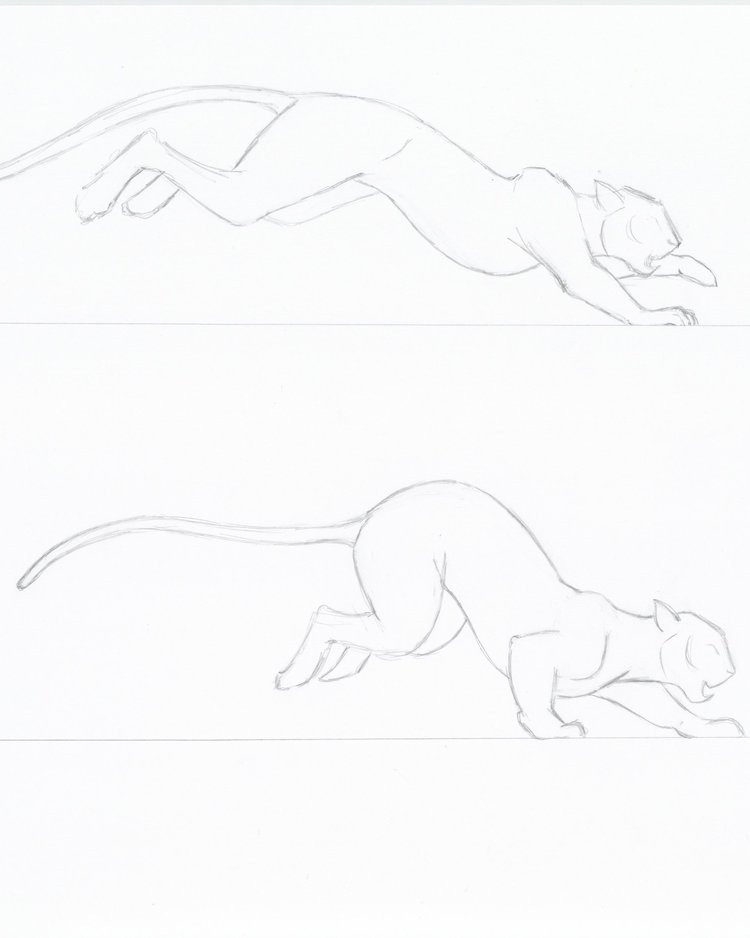 Tiger Pen Sketch by Marcella Wylie
