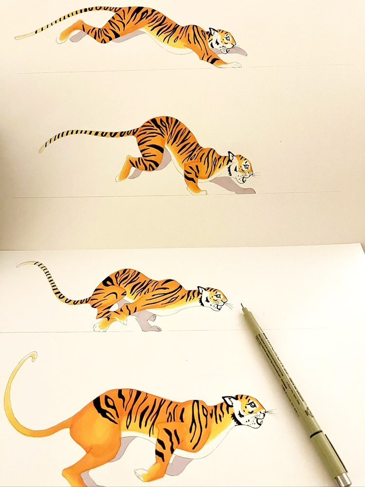 Tiger Pen and Ink Sketch by Marcella Wylie