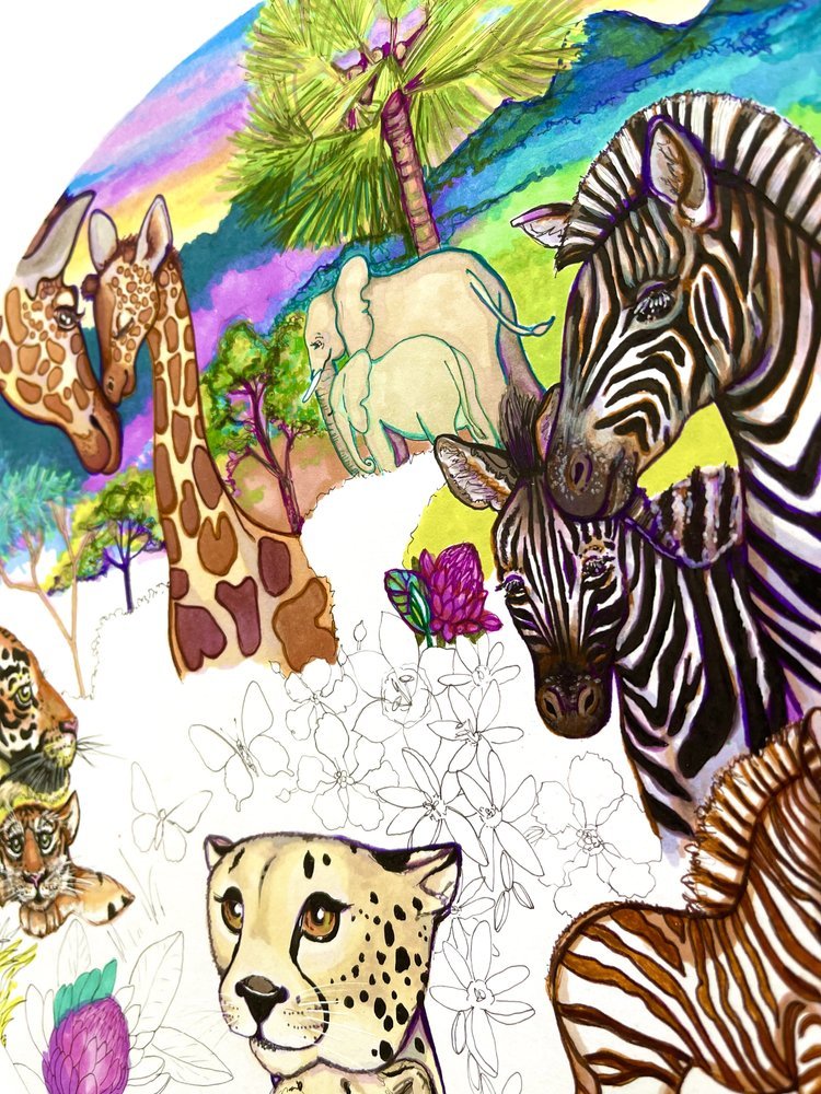 Colourful Safari Animal Illustration by Marcella Wylie