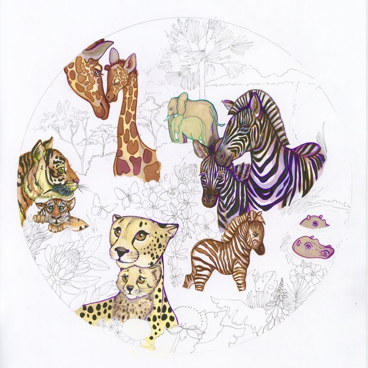 Safari Animal Pen Drawing by Marcella Wylie