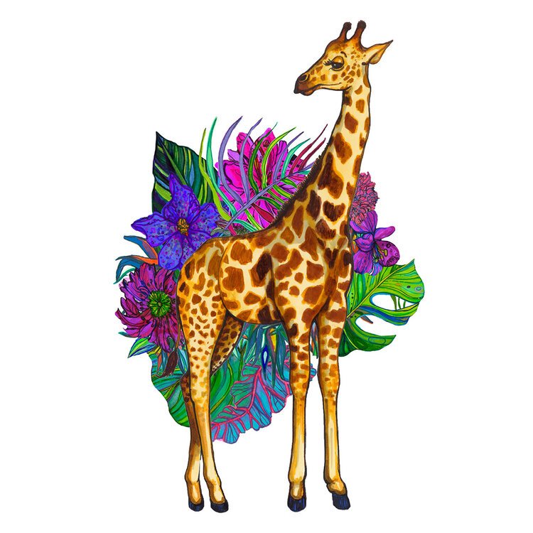 Colourful Giraffe Illustration by Marcella Wylie