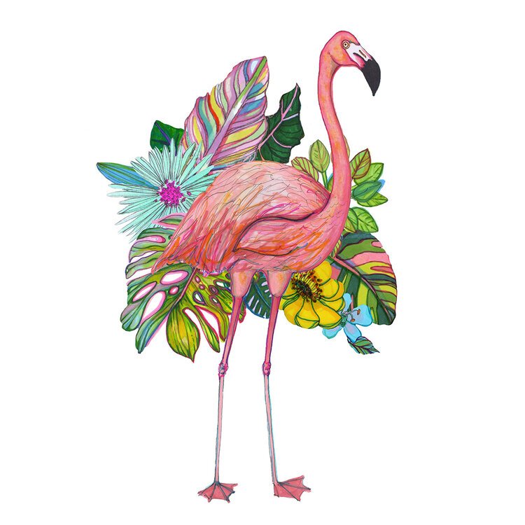 Colourful Flamingo Illustration by Marcella Wylie