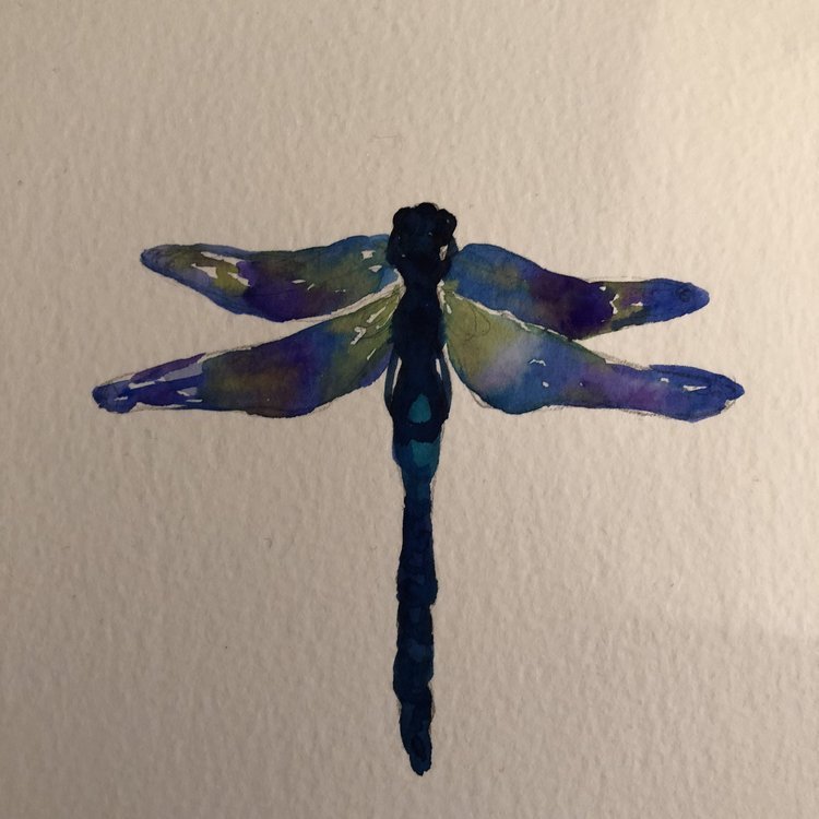 Dragonfly Watercolour Illustration by Marcella Wylie