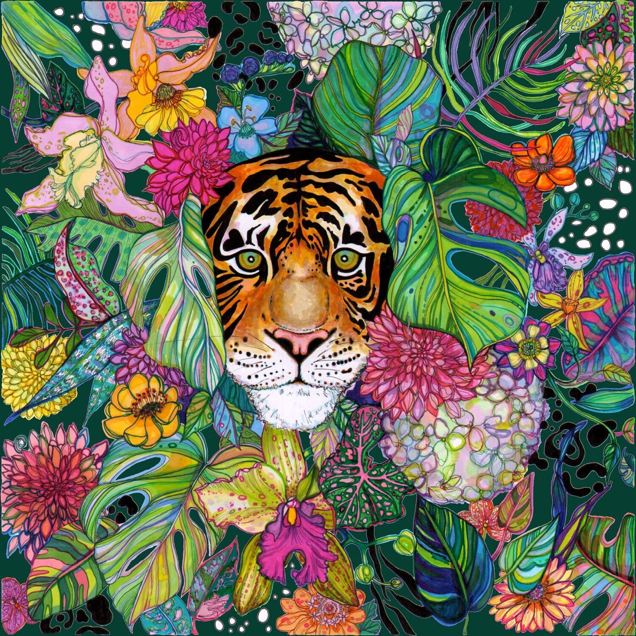 Jungle Tiger and Floral Illustration by Marcella Wylie