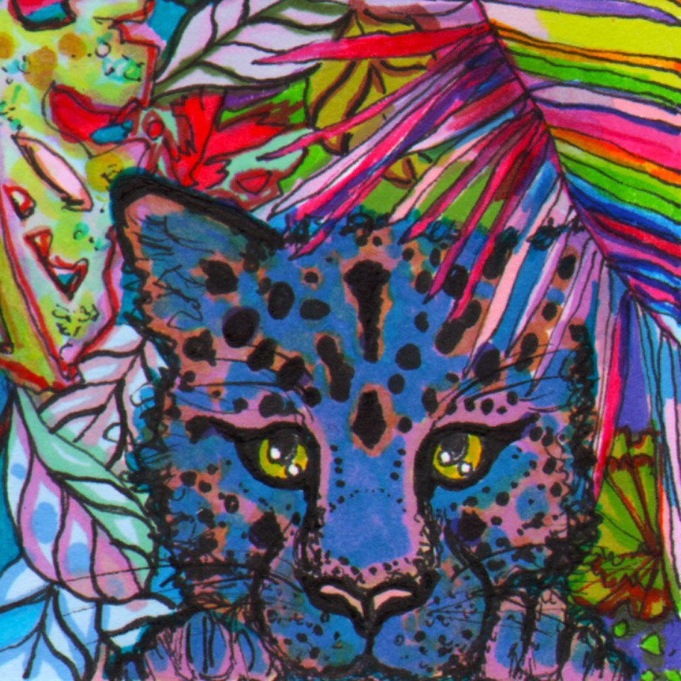 Jaguar Illustration in Colourful Ink by Marcella Wylie