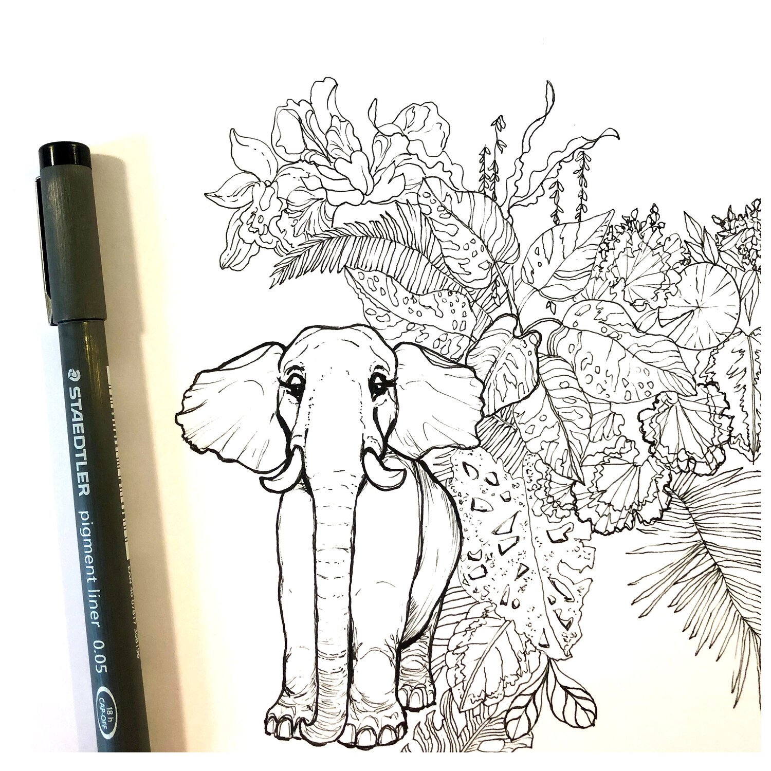 Elephant Illustration in Pen by Marcella Wylie