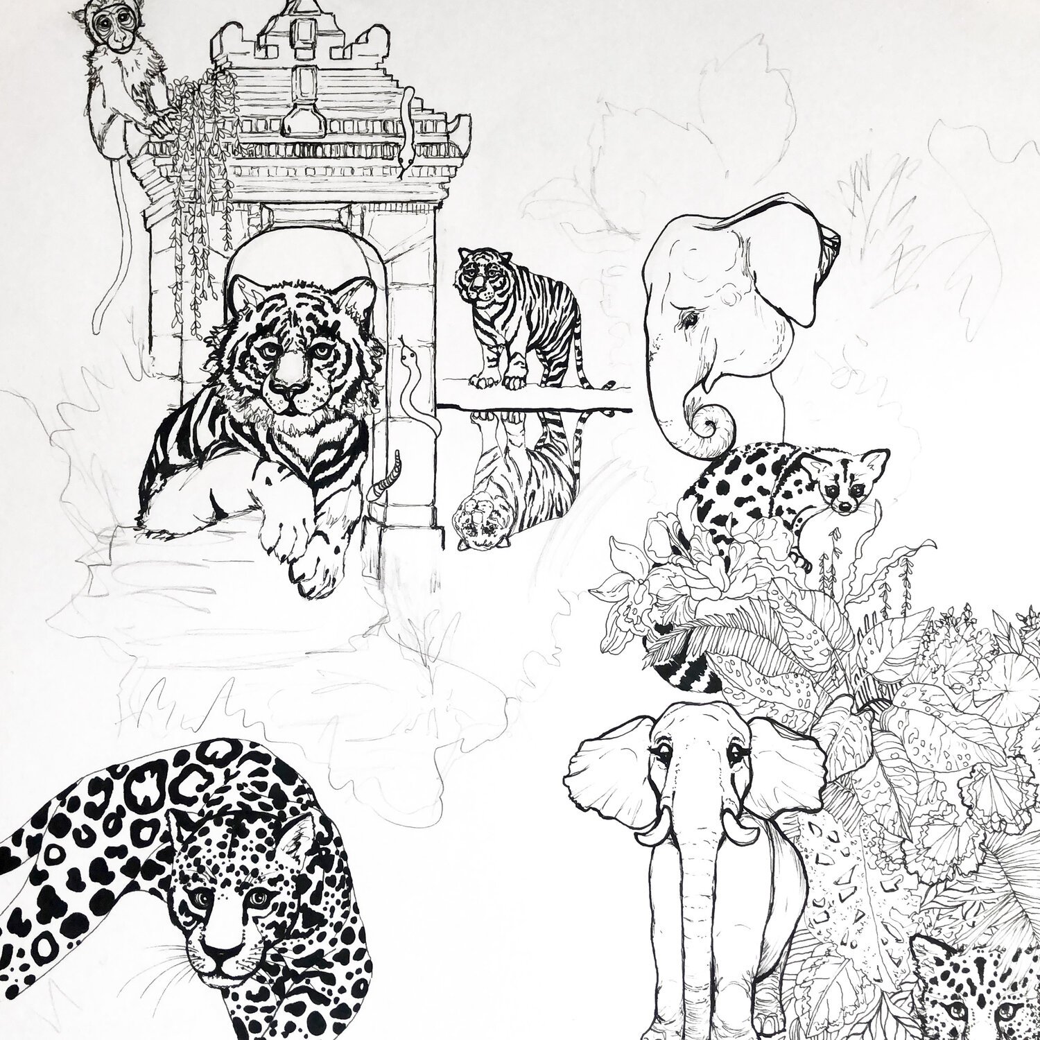 Elephant, Tiger and Leopard Illustration in Pen by Marcella Wylie