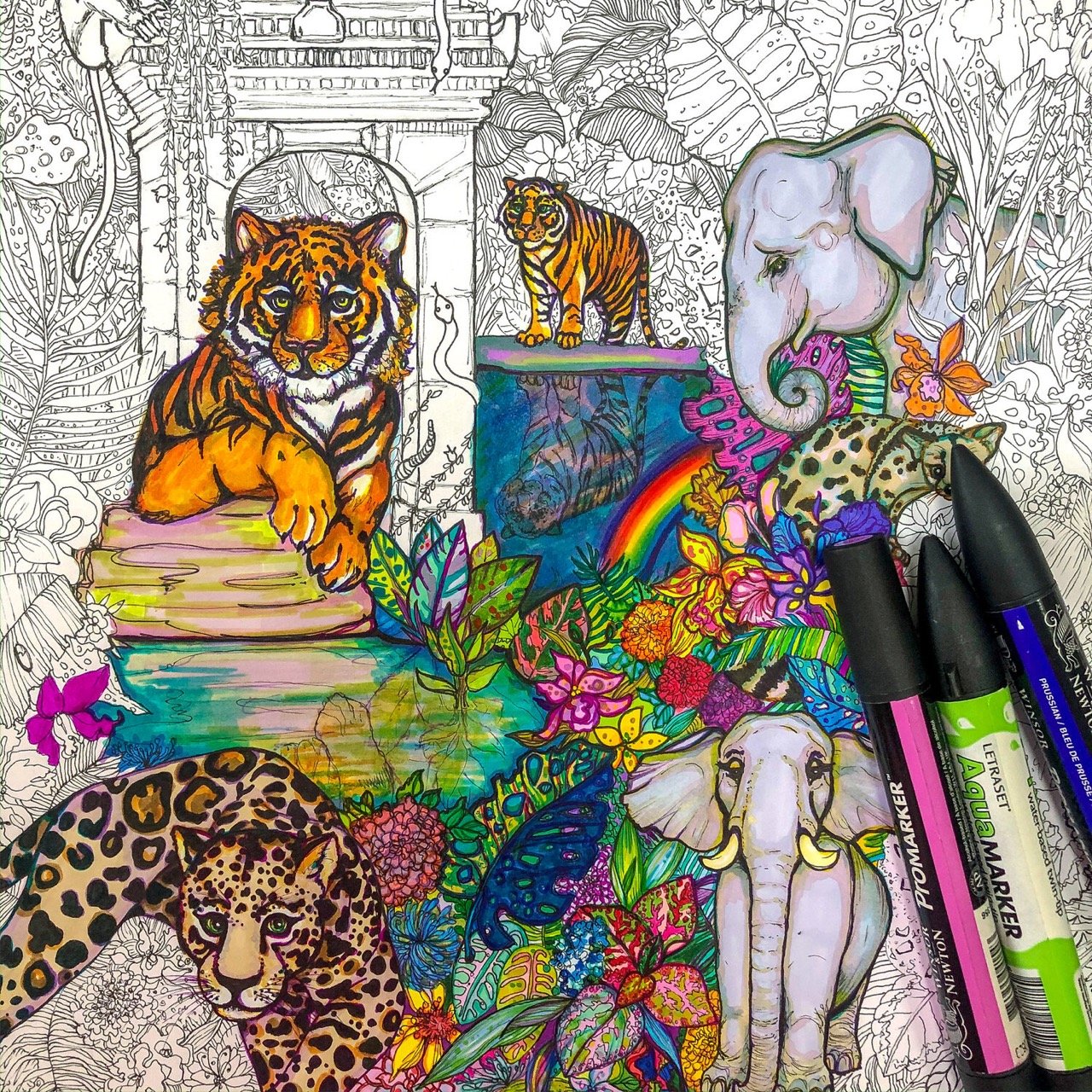 Elephant, Tiger and Jaguar Illustration in Colourful Ink by Marcella Wylie
