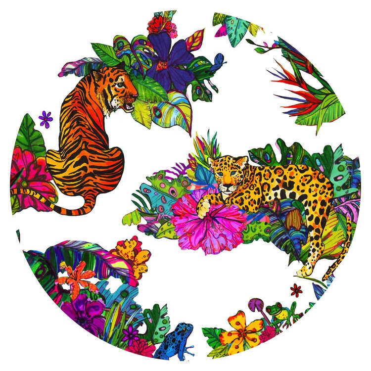 Tiger and Leopard Pen Illustration Rainforest Ruckus by Botanical Illustrator Marcella Wylie 