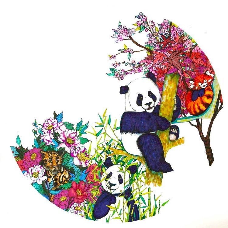 Panda and Floral Illustration by Botanical Illustrator Marcella Wylie