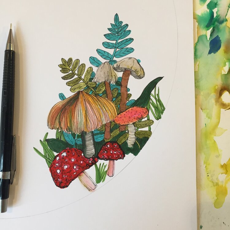 Mushroom and Foliage Illustration by Botanical Illustrator Marcella Wylie