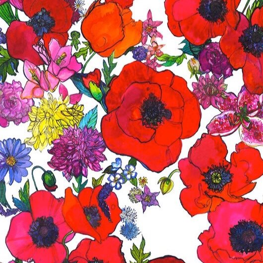 Poppy Illustration by Marcella Wylie 