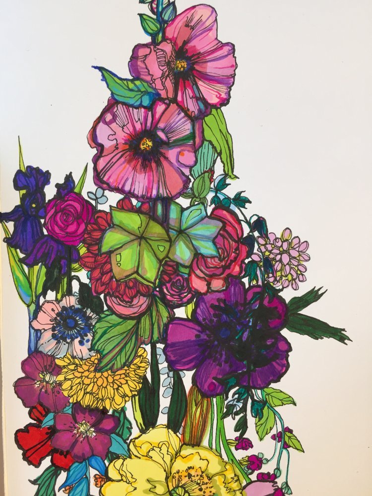 floral illustration using marker pens and fine liners by botanical illustrator Marcella Wylie 