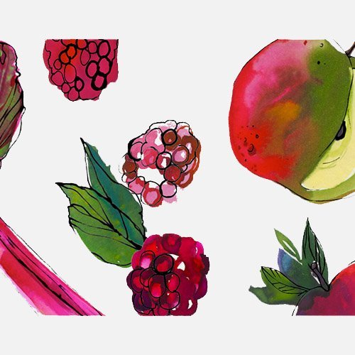 Rhubarb Raspberry and Apple watercolour illustrations by botanical illustrator Marcella Wylie 