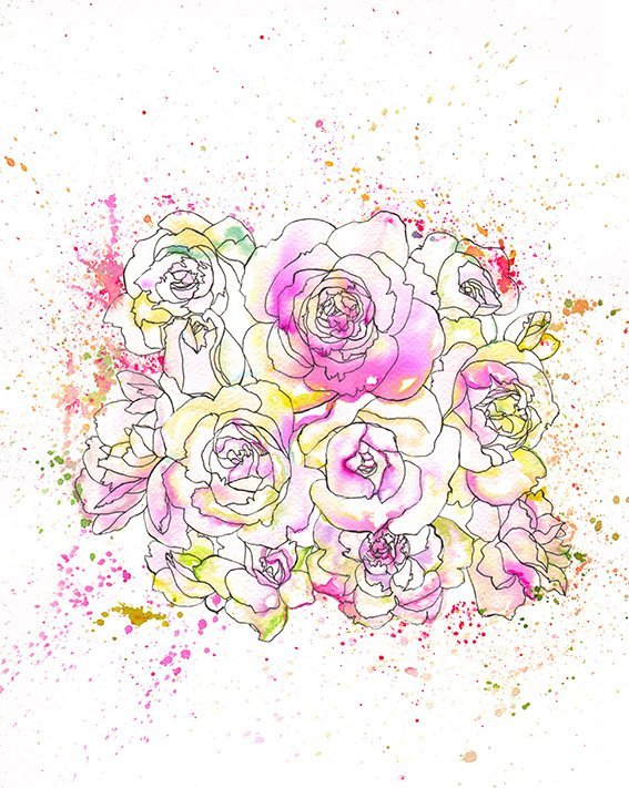 Pink and White Roses illustrated in watercolour by Marcella Wylie for Prima Magazine