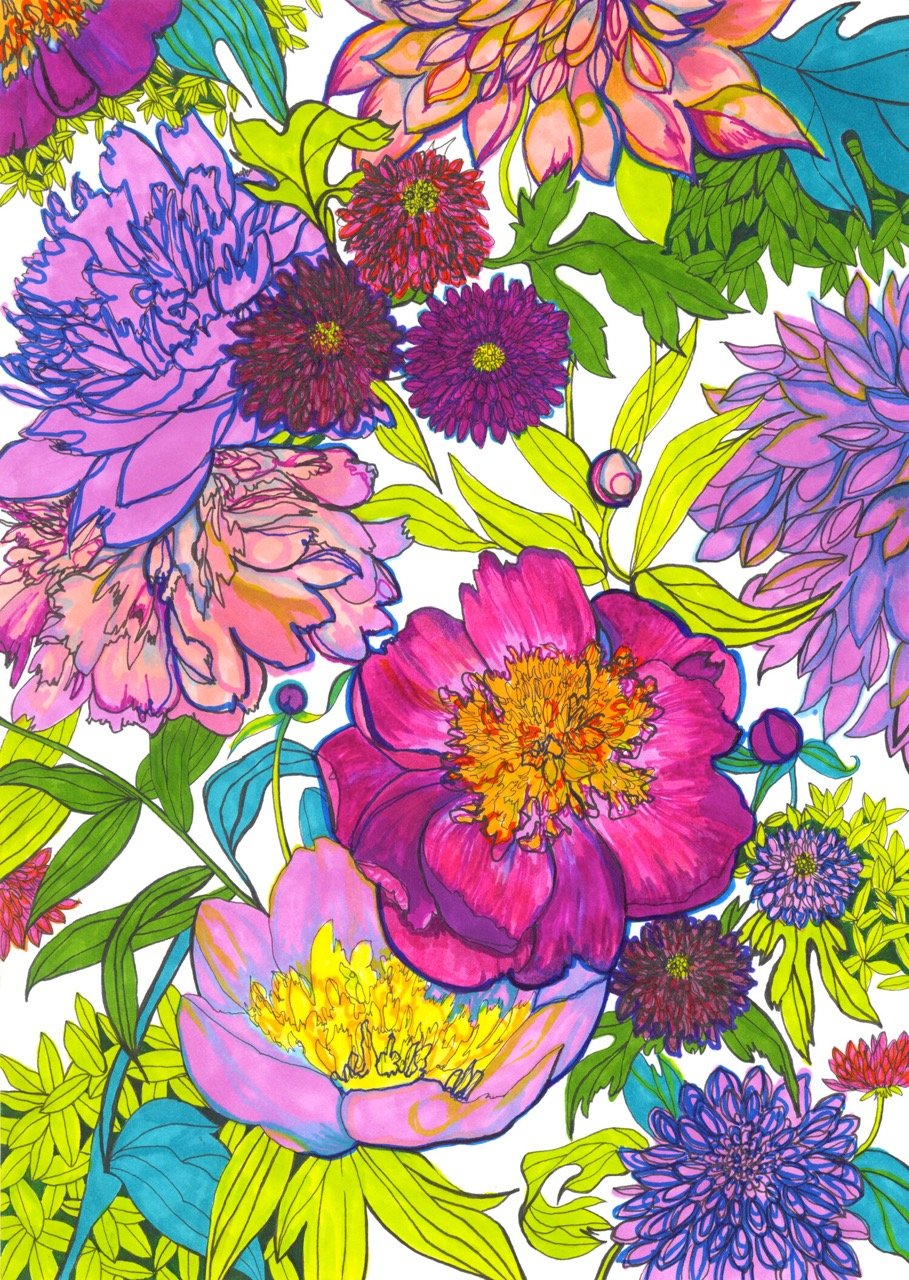 Peony Pattern Illustration by Marcella Wylie
