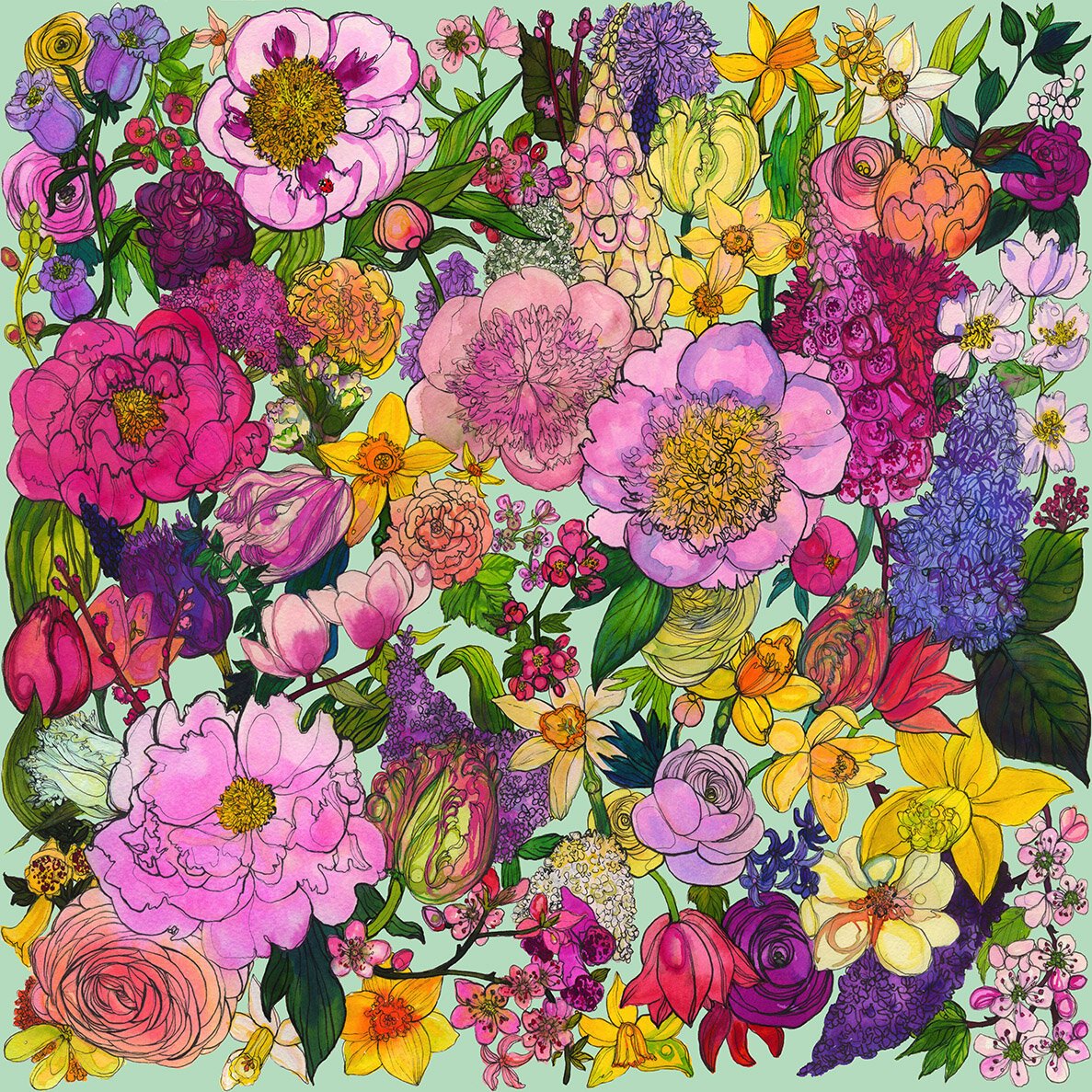 Spring Floral Watercolour Illustration by Marcella Wylie 