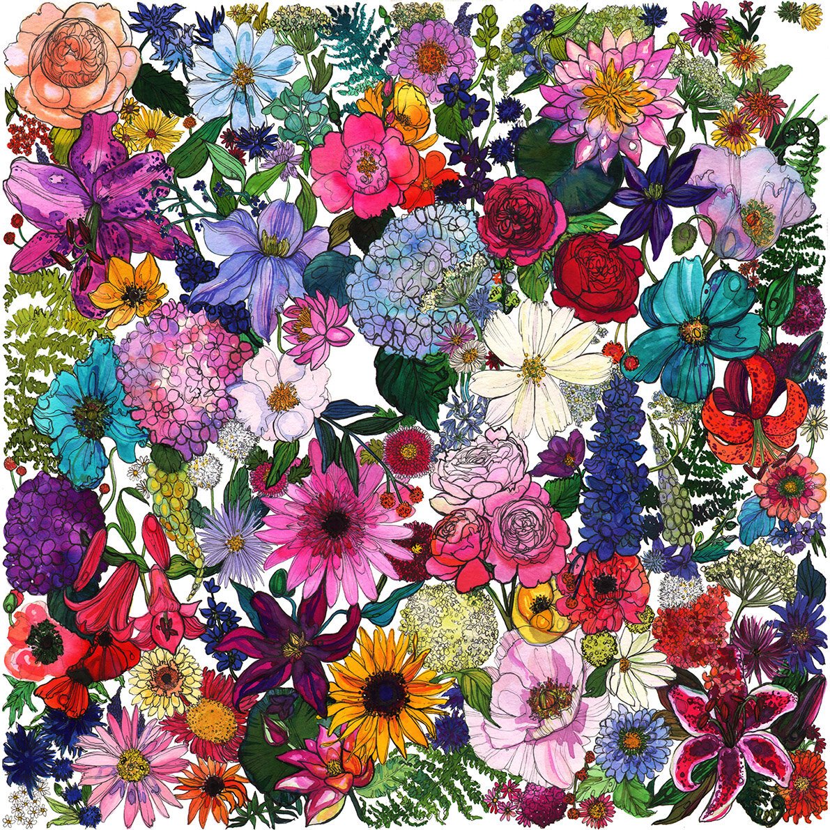 Summer Floral Watercolour Illustration by Marcella Wylie 