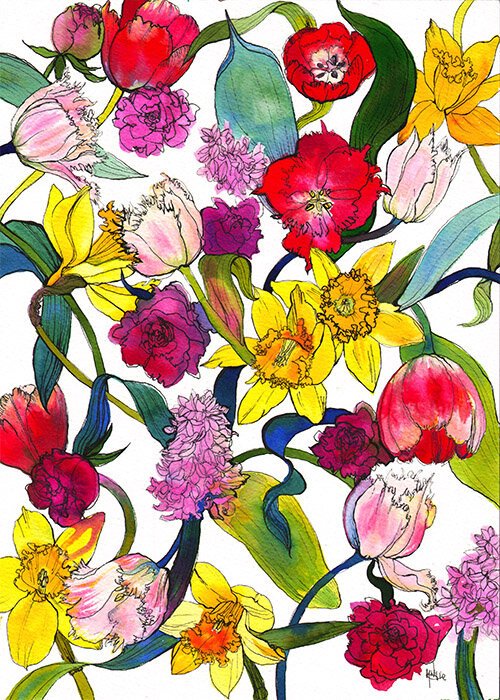 Daffodils and Tulips Illustration by Marcella Wylie 