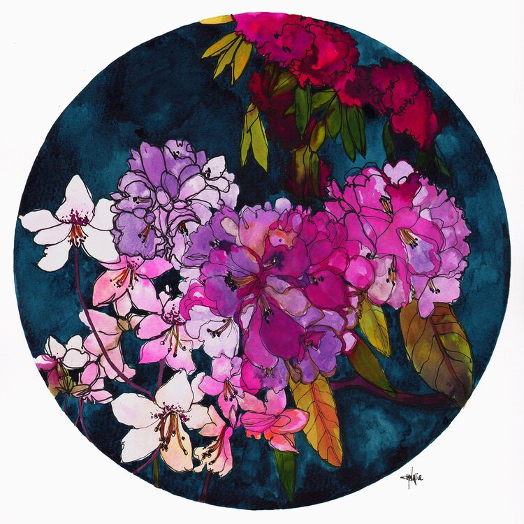 Purple Globes of Rhododendron Illustration by Marcella Wylie 