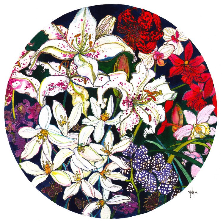 Lilies and Orchids Watercolour illustration by Marcella Wylie 