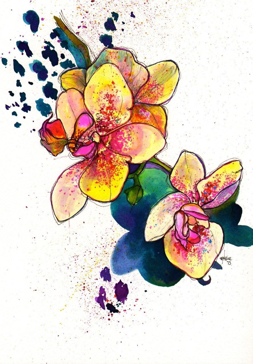 Ink Orchid Illustration by Marcella Wylie 