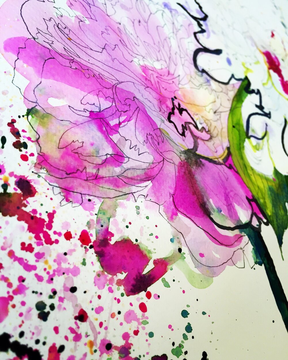 Inky watercolour illustration of pink peonies by Marcella Wylie 