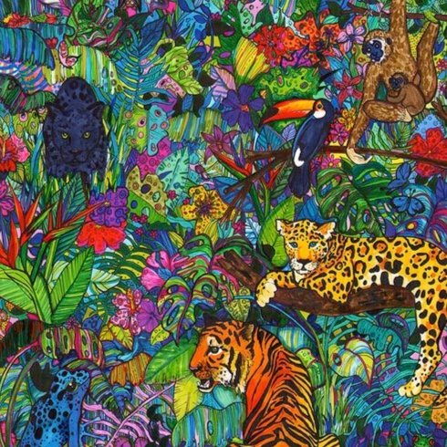 Rainforest+Ruckus+Colourful+Pen+Illustration+by+Botanical+Illustrator+Marcella+Wylie.jpg