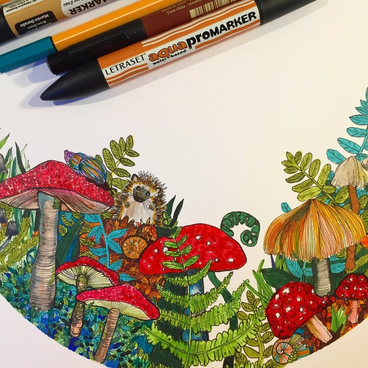 Hand Drawn Hedgehog Illustration in Pen by Botanical Illustrator Marcella Wylie.jpg