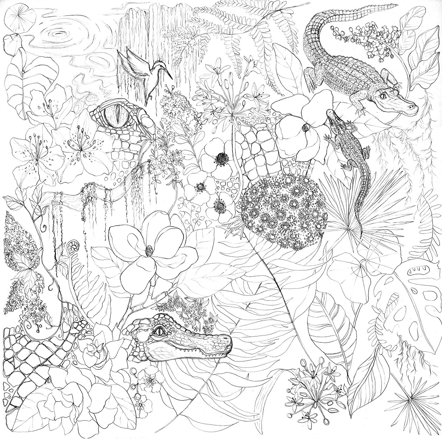Alligator Garden Sketch by Marcella Wylie.jpg