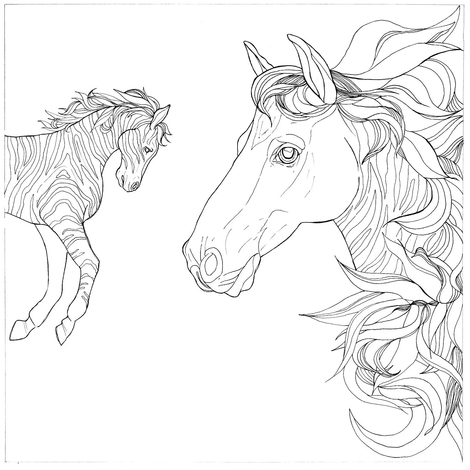 Marcella Wylie Wild Horses Personal Project Inspired by Hermes.jpg