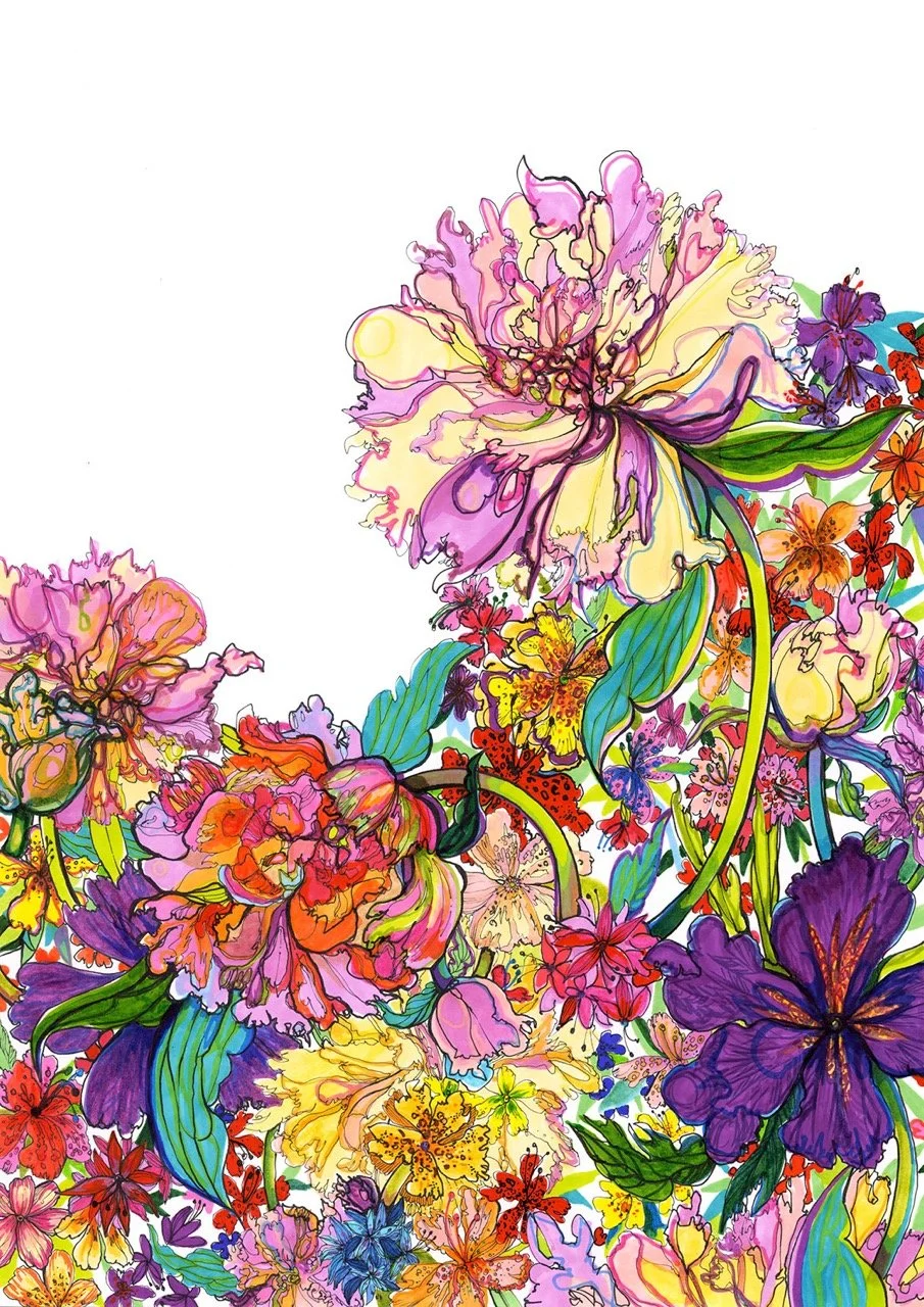 Peony ProMarker Drawing Colourful Botanical Illustration by Marcella Wylie Large.jpeg