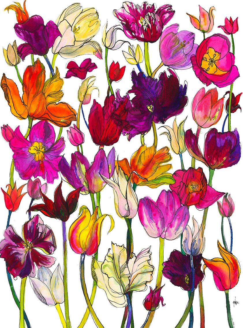 Pink and Orange Tulips Colourful Watercolour Illustration by Marcella Wylie.jpg