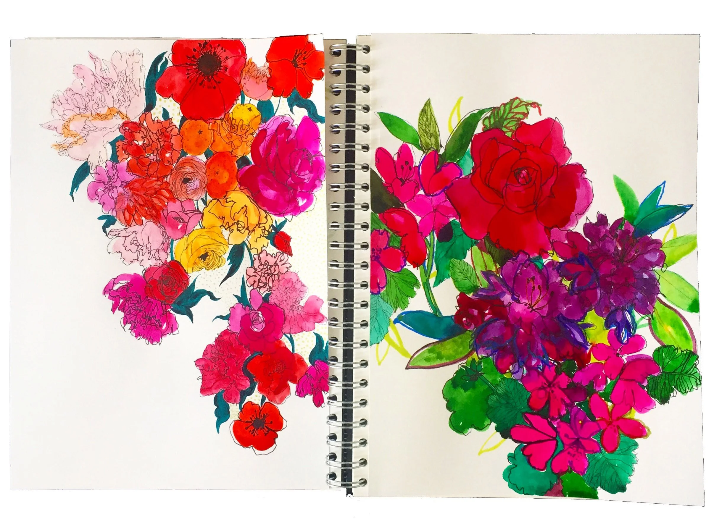 Botanical Illustrator Marcella Wylie Sketchbook.jpg