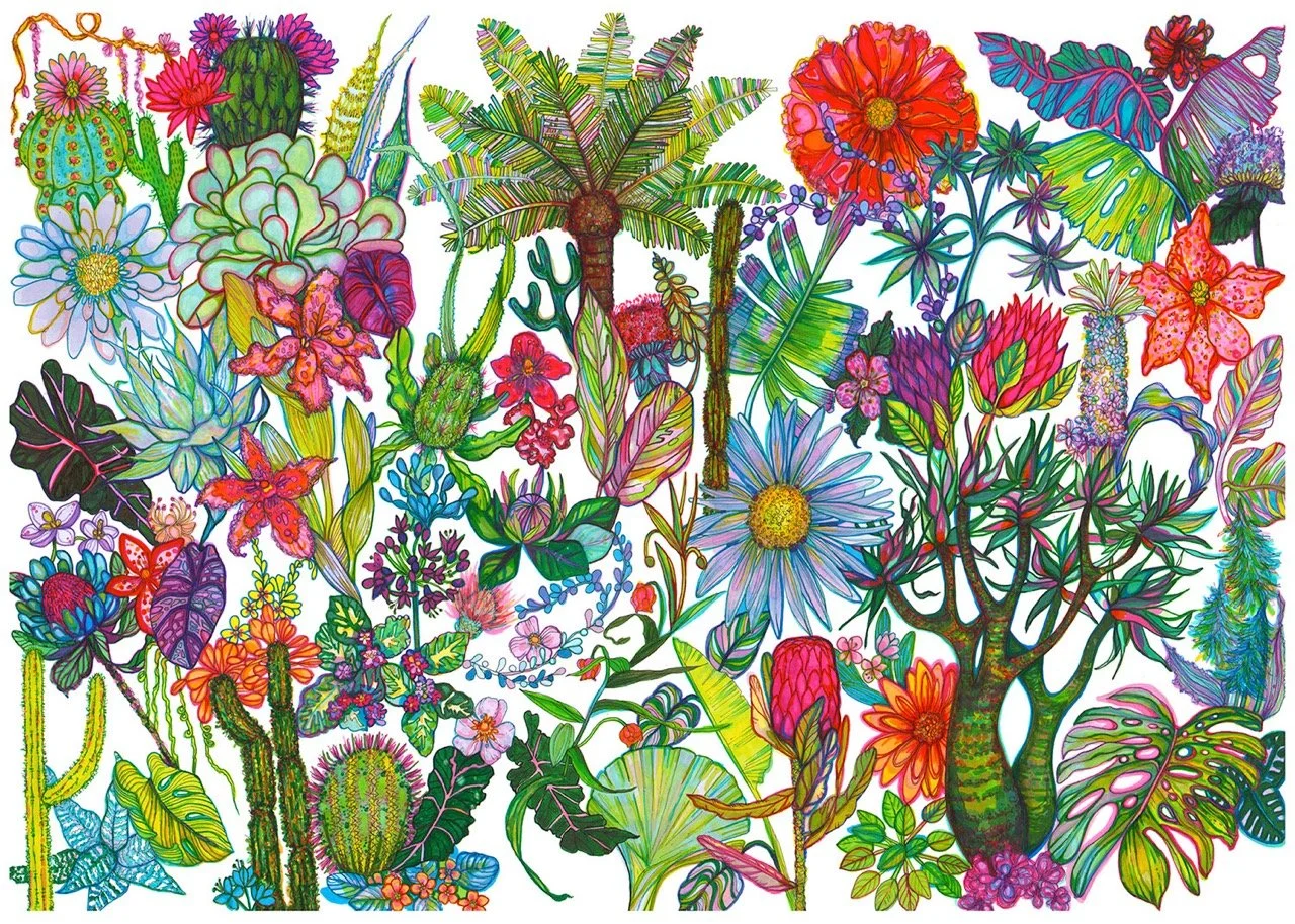 African Tropics Watercolour Colourful Botanical Illustration by Marcella Wylie.jpeg