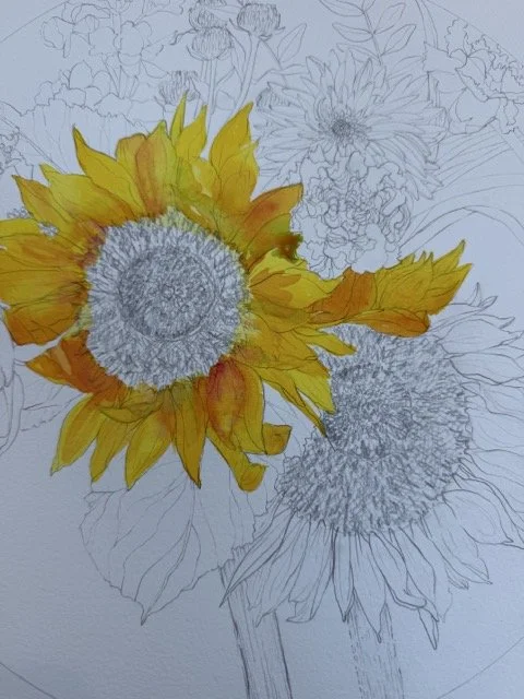Sunflowers in Summer Sketch by Marcella Wylie.jpeg