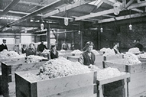 Picking guncotton to remove impurities.