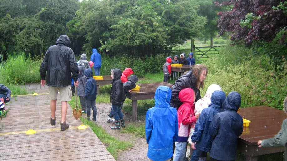You don't worry about a bit of rain when you're pond dipping!