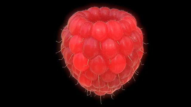 raspberry.jpg