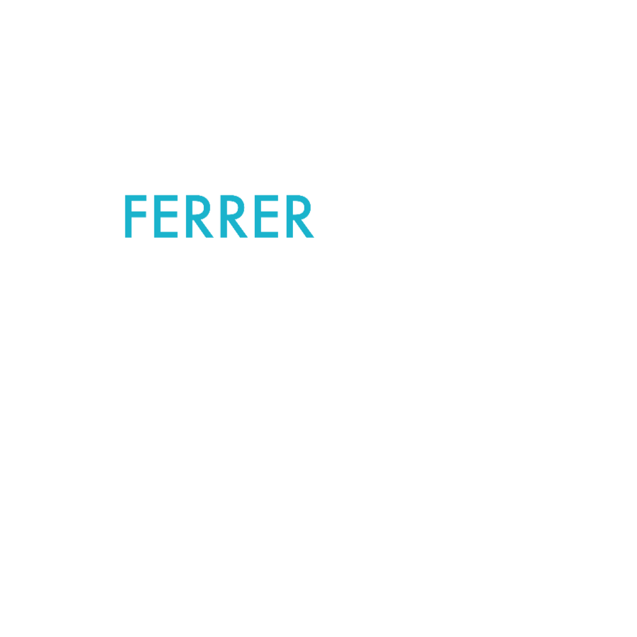 Ferrer Realty Group Miami's Premier Commercial  Real Estate Consulting Firm