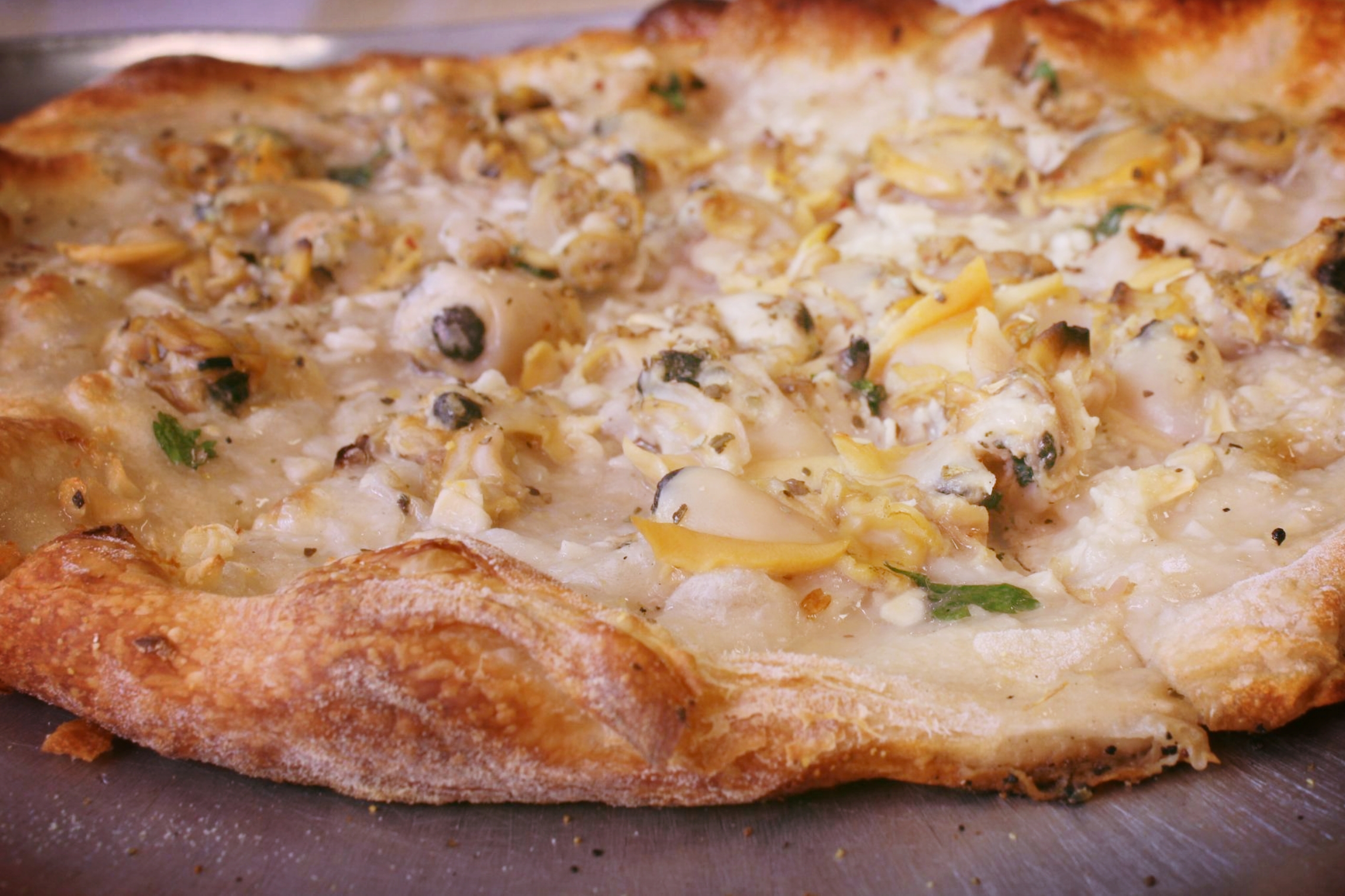 THE WHITE CLAM