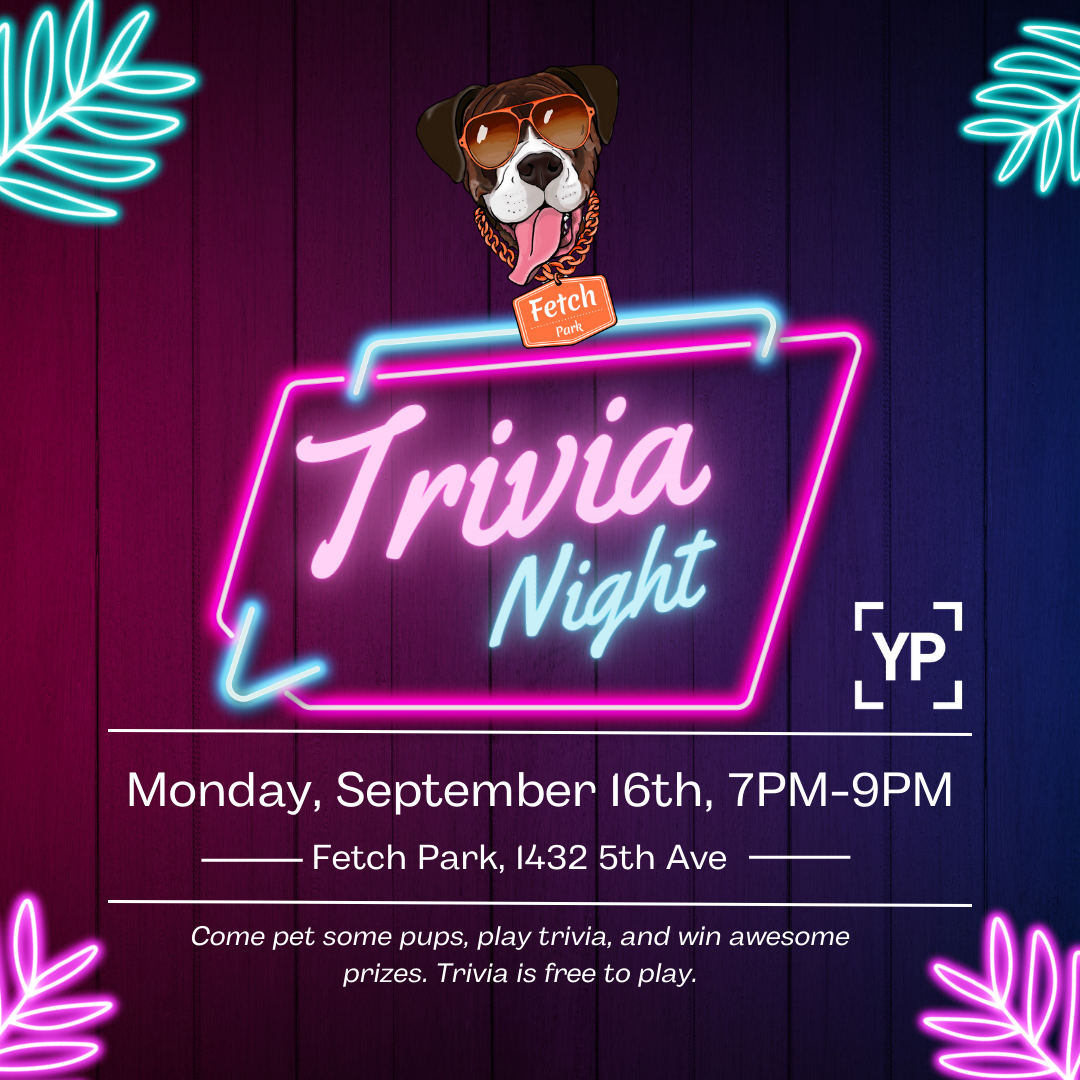 YP Meet Up: September 2024
