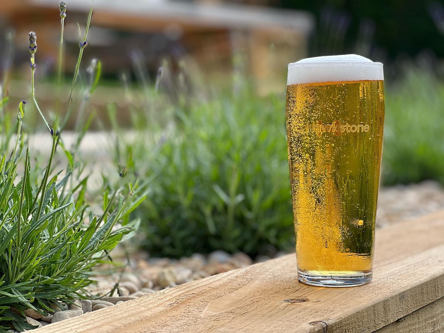 The original Hawkstone Lager. Bold, yet balanced, with a smooth body and top notes of light citrus complemented by a subtle, crisp bitterness and malty backbone. Setting the standard for a British Premium Lager. On draught now. 
.
.
.
.
.
.
#food #be