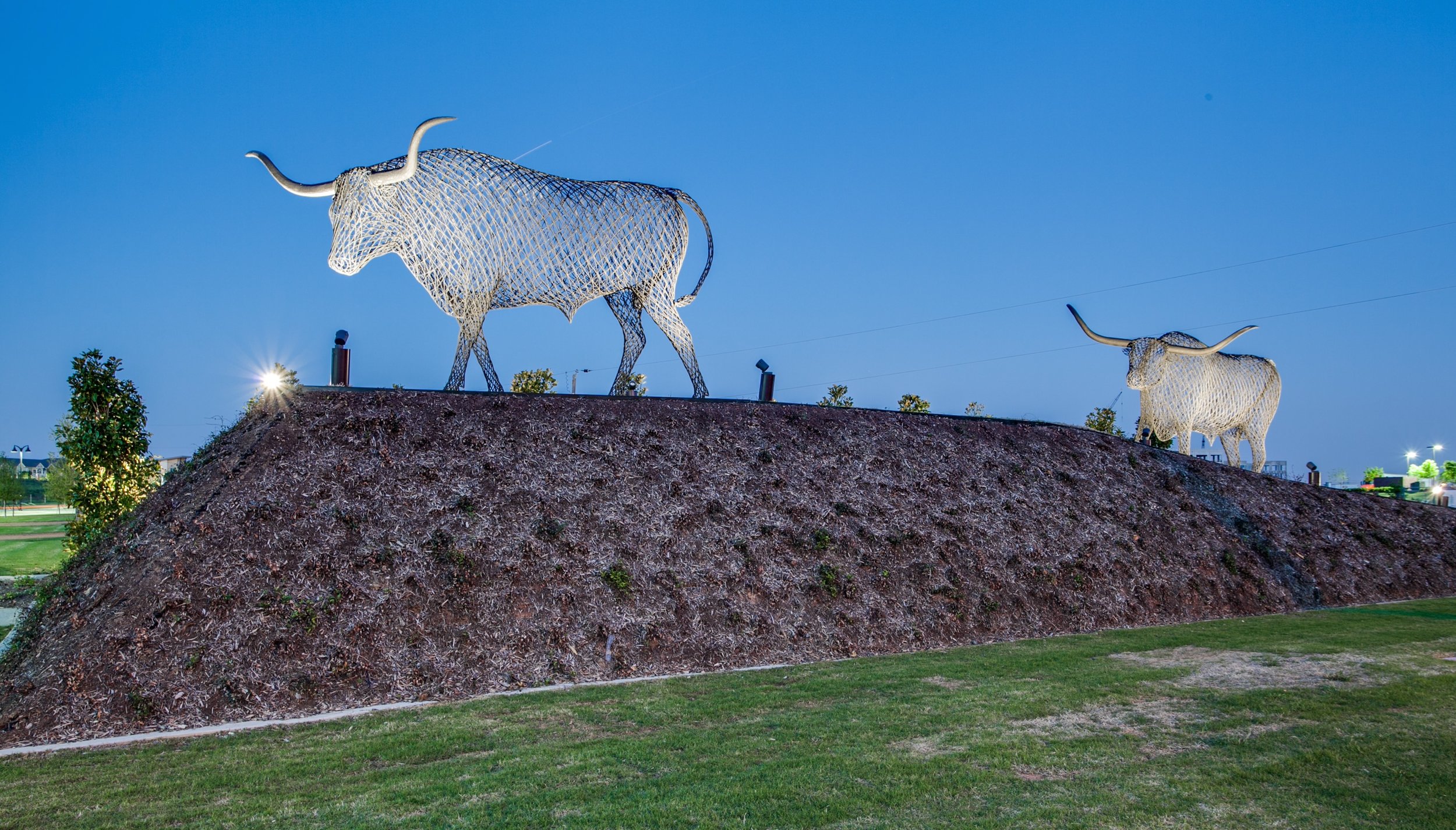 Texas Longhorns